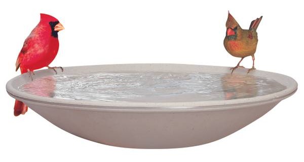 Best Bird Baths Attracting Birds Allied Precision Industries (650) Heated Bird Bath with Mounting Bracket