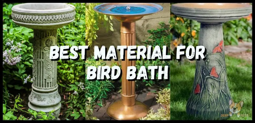 Best Bird Baths attracting birds What is the best material for bird bath
