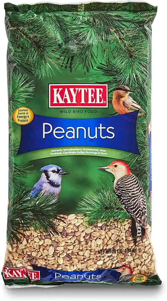 Best food for Wild Birds