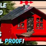 Best pole mounted bird feeders squirrel proof