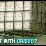 How to make bird suet with Crisco-min