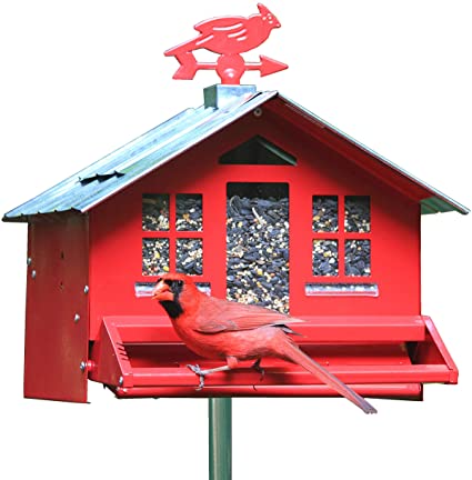 Perky-Pet 338 Squirrel-Be-Gone Bird Feeder