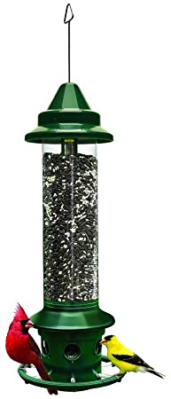 Squirrel Buster Plus Squirrel-proof Bird Feeder