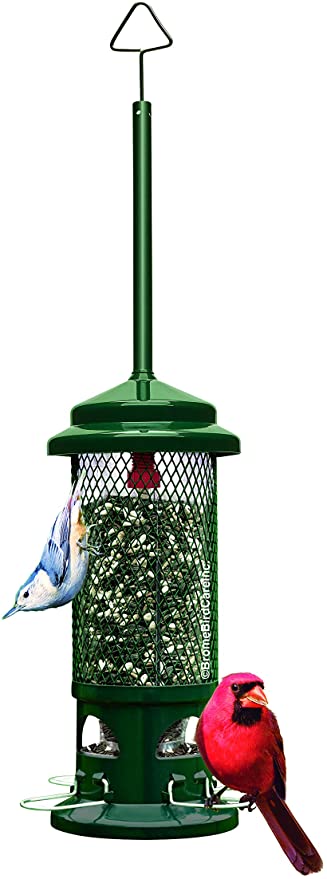 Squirrel Buster Standard Squirrel-proof Bird Feeder