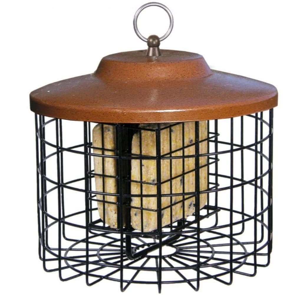 Squirrel-X Squirrel Proof Double Suet Feeder