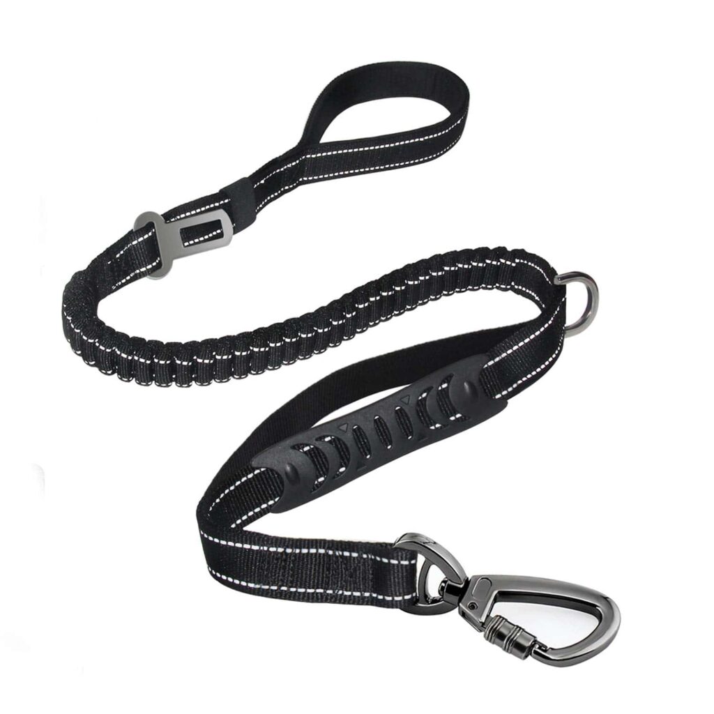 Heavy-Duty Dog Leash Especially for Large Dogs Up to 150lbs