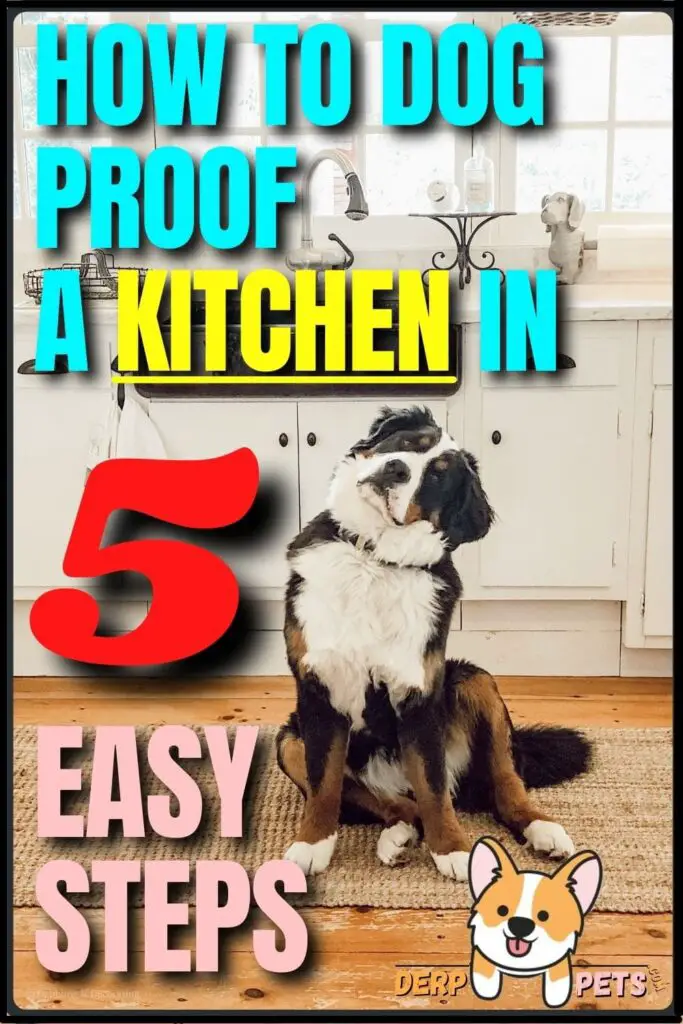 How to dog-proof a Kitchen in 5 easy steps