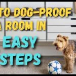 How to dog-proof a room