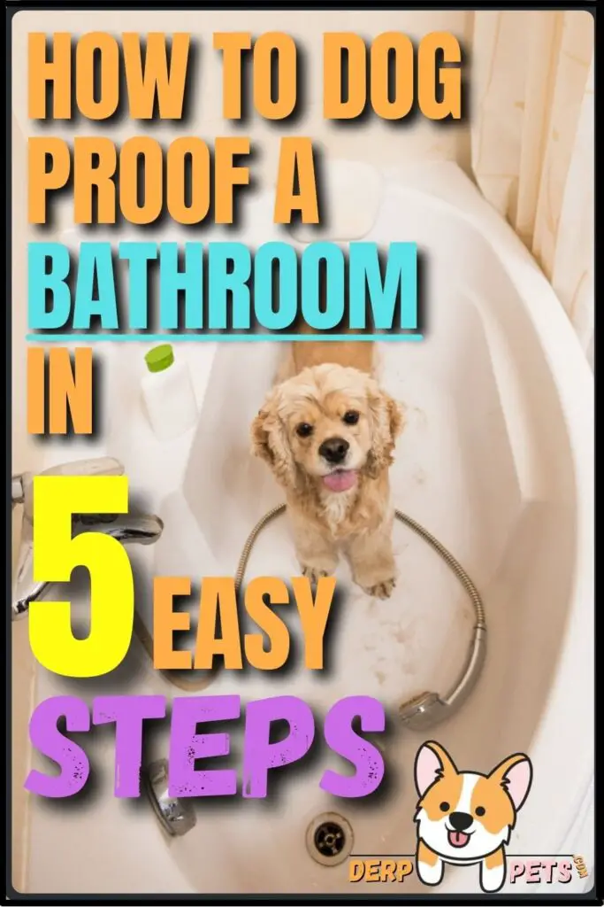 How to dog-proof a room - How to dog-proof a Bathroom, Laundry Room in 5 easy steps
