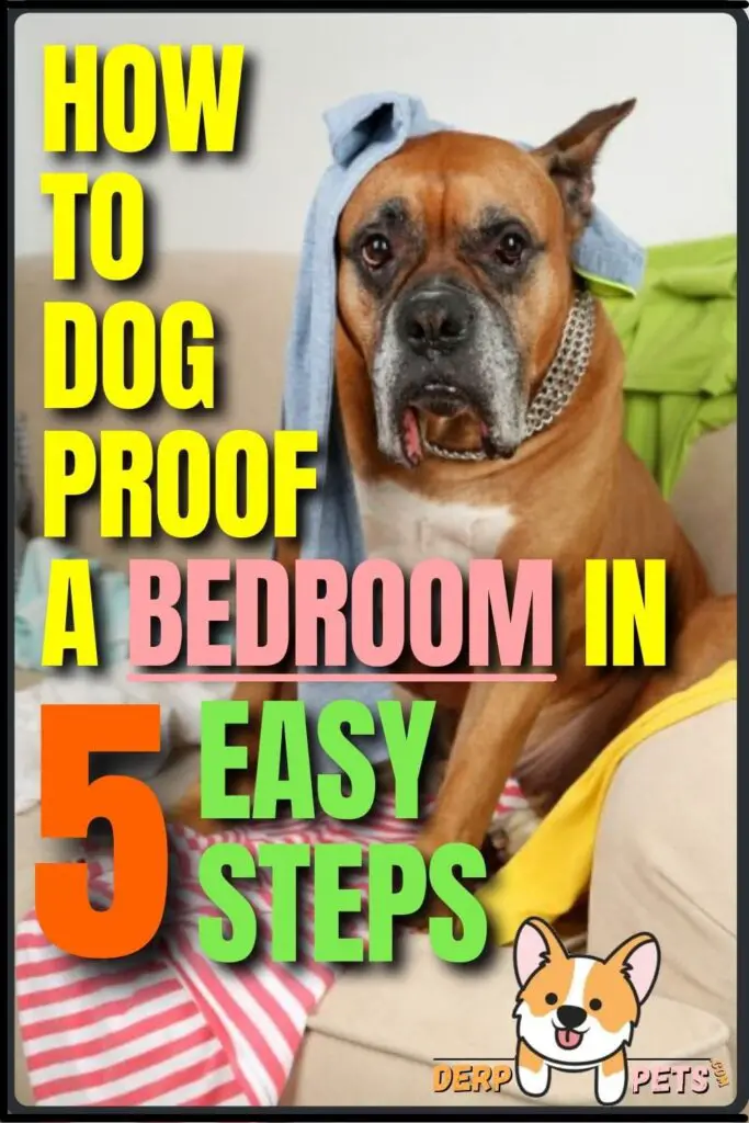 How to dog-proof a room - How to dog-proof a Bedroom in 5 easy steps