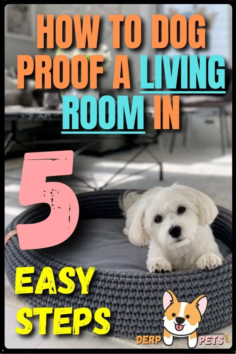 How To Dog Proof A Room In 5 Easy Steps (With Good Tips)