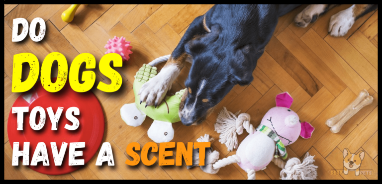 Do dog toys have a scent