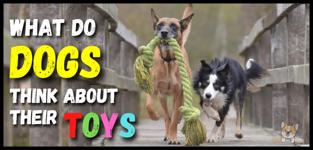 Do dog toys have a scent