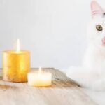 Cat Ate Candle Wax