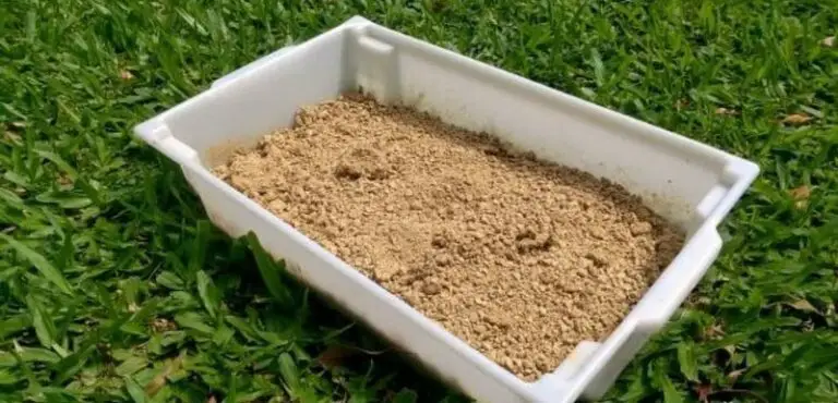 will cat litter kill grass