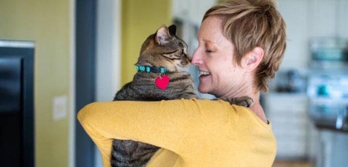 male cat protective of female owner