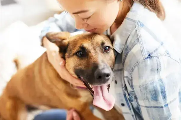 is it cruel to hold a dog by the scruff