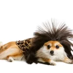 did cavemen have dogs