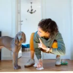 Should I Hit My Dog If He Poops In The House?