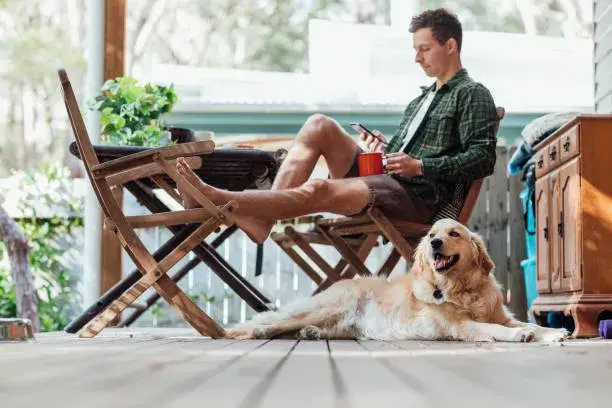 What Does It Mean When A Dog Sits With His Back To You