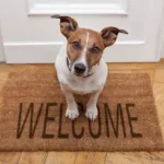 Should You Visit A Dog You Have Given Away?