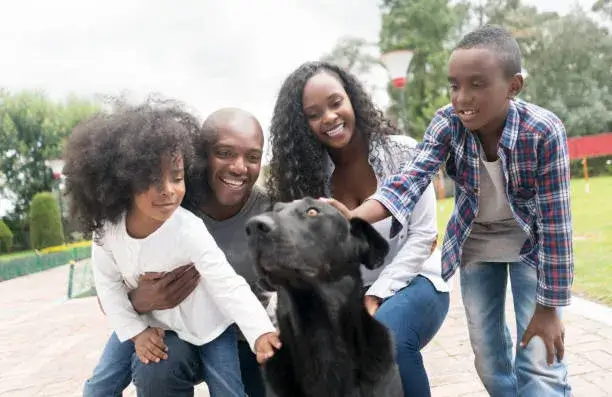 should you wash your hands every time you touch your dog