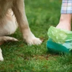 why don't people clean up after their dogs