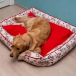 Can I Spray Febreze On My Dog's Bed?