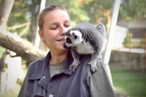 Can You Have a Lemur as a Pet