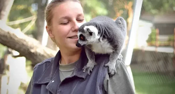 Can You Have a Lemur as a Pet? What You Need to Know
