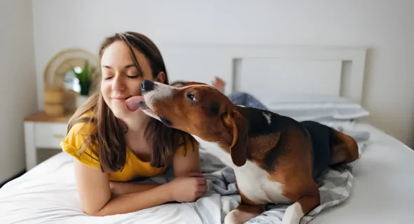 The Heartwarming Reasons Your Dog Licks You Before Bed