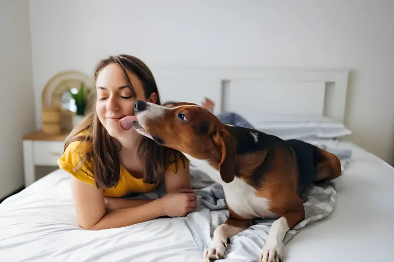 Your Dog Licks You Before Bed