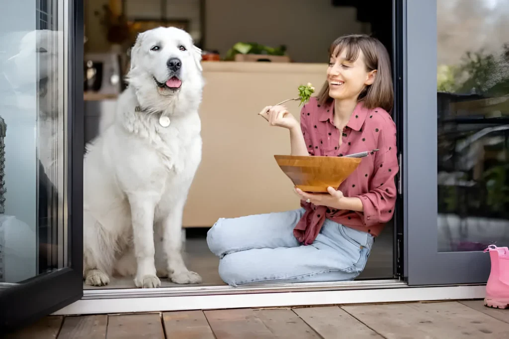 Is Kale Okay for Dogs