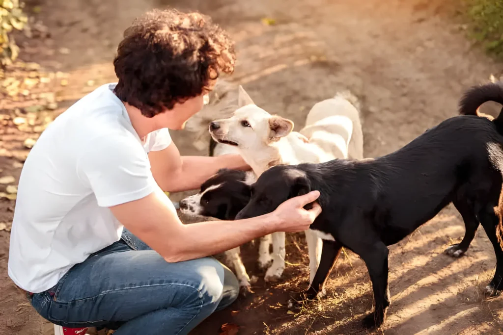 Short Haired Hypoallergenic Breeds