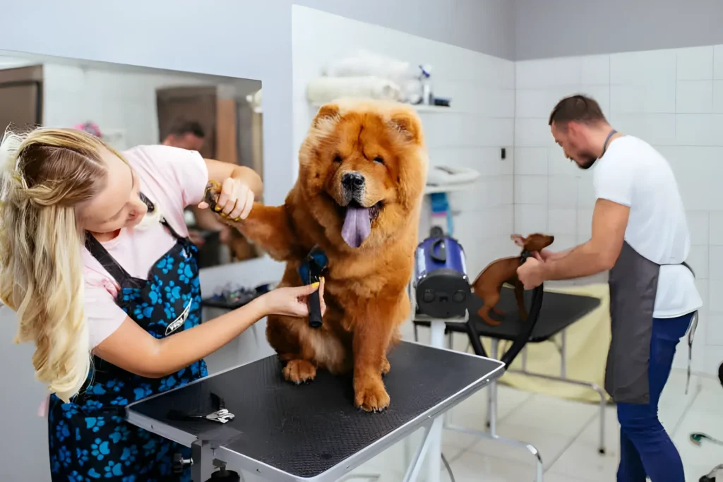 Should You Tip Your Dog Groomer